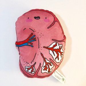 NWT Spleen Organ Anatomy Plushy by Fresh Crayons